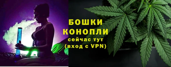 дживик Зеленодольск